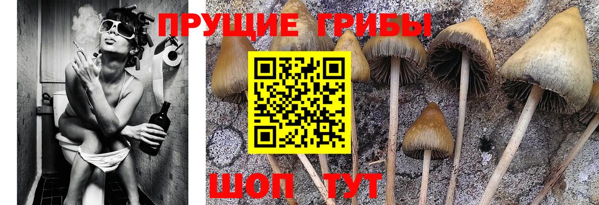 Псилоцибиновые грибы Magic Shrooms  Вход с VPN  Нижний Новгород 