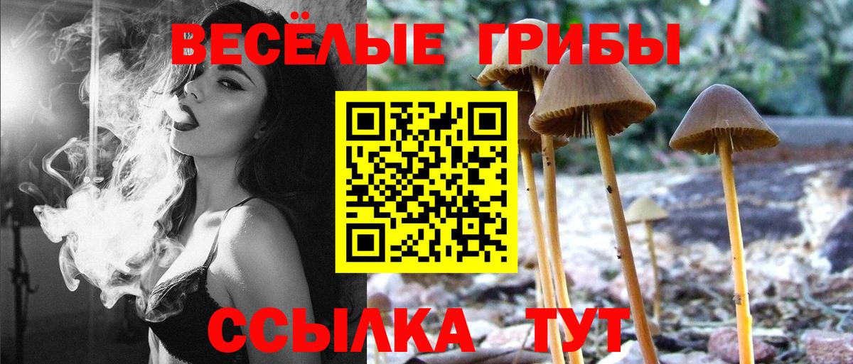 Псилоцибиновые грибы мухоморы Нижний Новгород